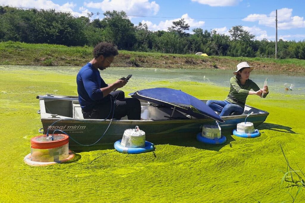 Piscicultura sustentável em Minas Gerais se fortalece com pesquisa da Epamig e UFJF