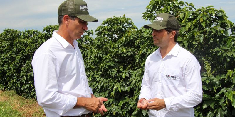 Epamig celebra 51 anos de inovação na pesquisa agropecuária mineira