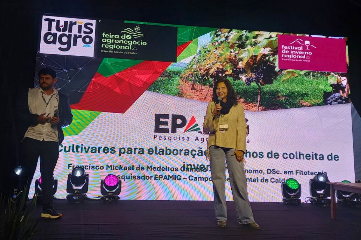 Epamig leva experiência em vitivinicultura para o TurisAgro 2025 em São Paulo