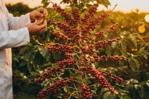 Aspe-MG celebra o Natal e fortalece o espírito de união dos pesquisadores