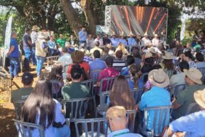 Pesquisador da Epamig apresenta cultivares de abacaxi resistentes à fusariose