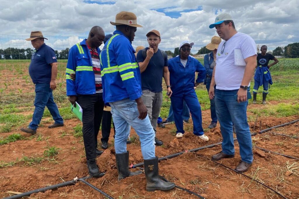 Do campo mineiro para o mundo: pesquisador da Epamig consolida cooperação no setor algodoeiro na África