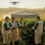 Pesquisa científica impulsiona o crescimento do agronegócio em Minas