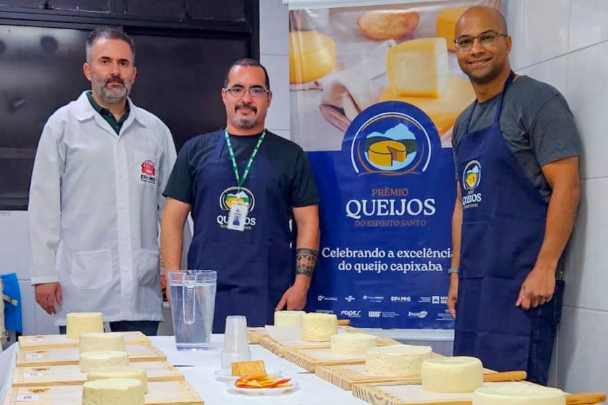 Pesquisadores da Epamig coordenam curadoria científica do Prêmio Queijos do Espírito Santo