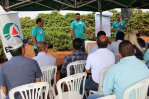 Ciência agropecuária impulsiona Minas e fundamenta valorização do pesquisador