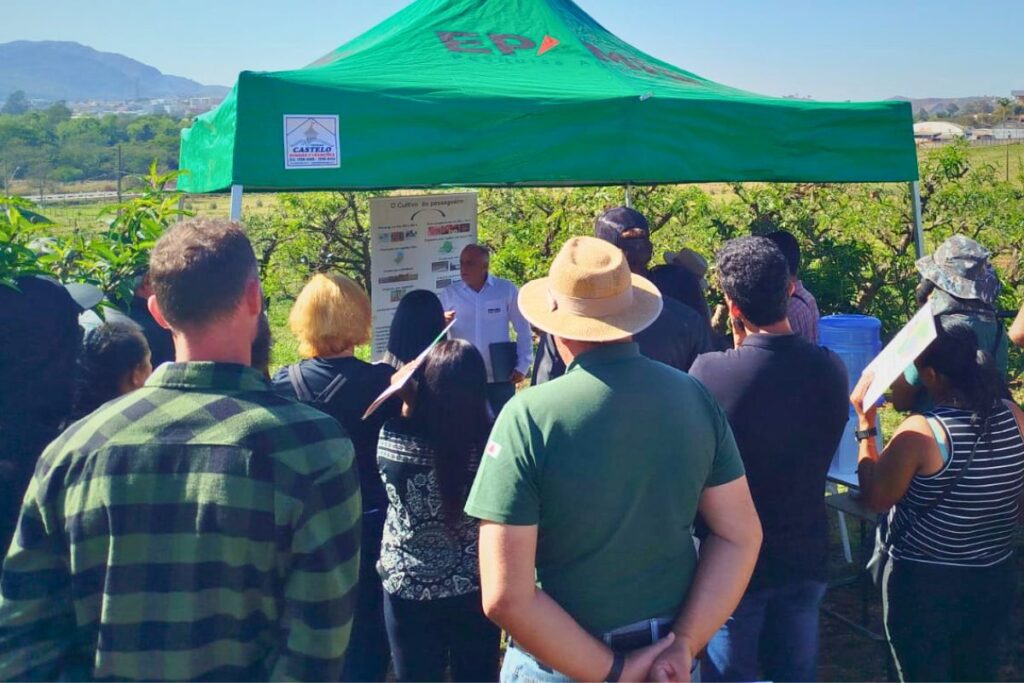 Epamig promove Dia de Campo sobre fruticultura em São João del-Rei