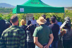 Epamig promove Dia de Campo sobre fruticultura em São João del-Rei