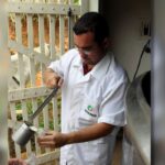 Pesquisadores da Epamig geram tecnologias e cultivares para o campo mineiro